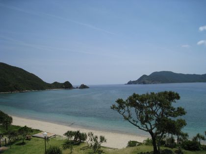 ダイビング 福岡 海