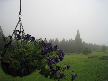 高原の風景