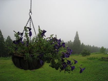 高原の風景