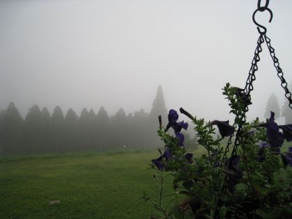 高原の風景