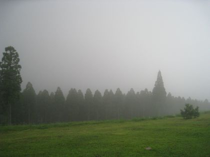 高原の風景