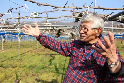 大分県日田市にある梨農園 ひた鳥居原農園