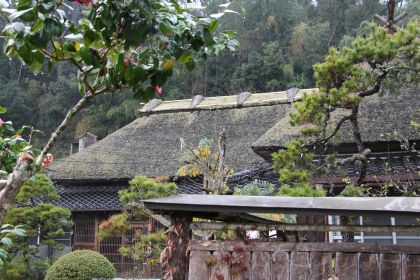 大分県日田市 梨農園 ひた鳥居原農園