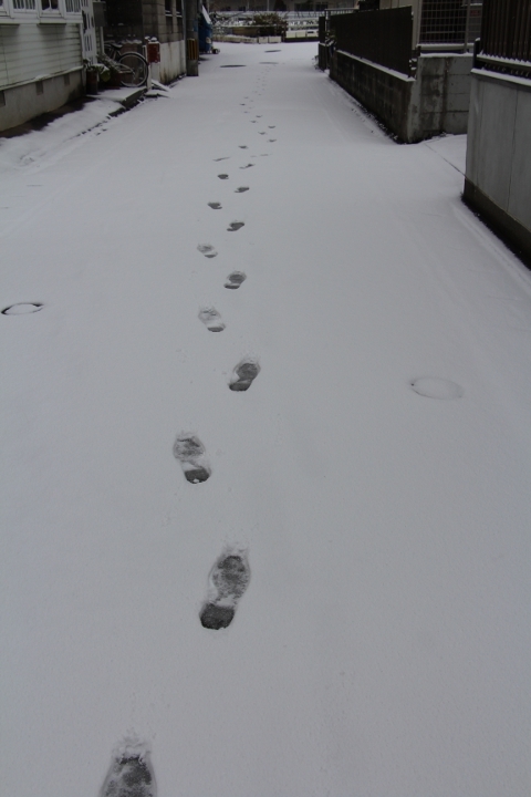福岡市 雪